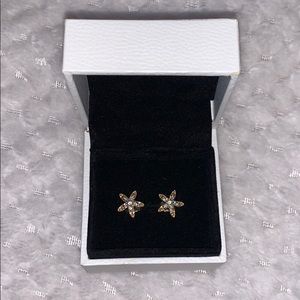 Starfish earrings